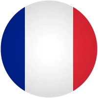 France flag logo.